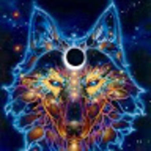 Meet your Posher, Dante